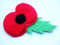 Felt Poppy 