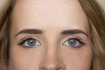 Groom Your Brows
