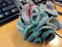 Hypobolic Crochet.