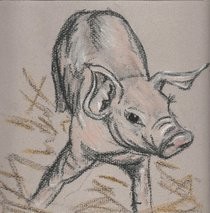 Pastel Piglet.