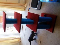 Cat Scratching Post