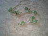 Small_2012-11-16_13.06.06