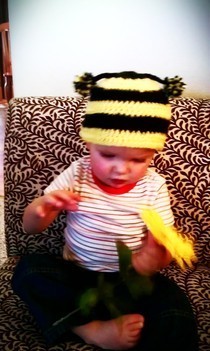 Bumble Bee Hat