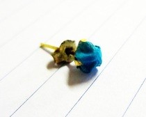 Lucky Star Ear Studs