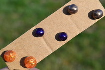 Sugar Drop Earrings