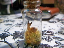Teeny Tiny Terrarium Necklaces