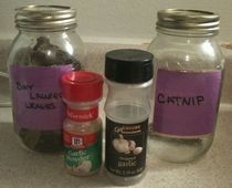 All Natural Cockroach Repellent 