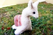Little Llama