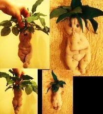 Harry Potter Mandrake
