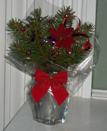 "Spacesaver" Fresh Christmas Trees