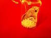 Small_20121206_195159