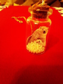 Snow Globe Necklace