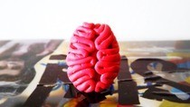 Brain Ring
