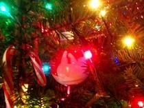 Plastic Bottle Ornaments