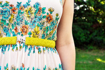 Summer Belt