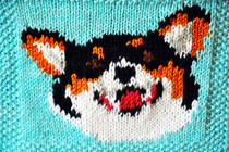 From Photos To Intarsia Charts