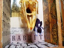 The Mystery Of Mister Bunny