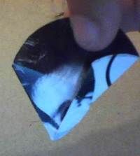 Step 6