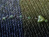 Small_stitch_holder
