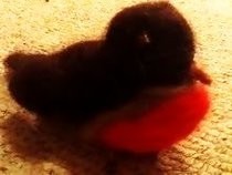 Robin Needle Felting