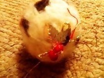 Xmas Pudding Needle Felting