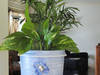 Small_dsc03820