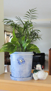 Flower/Plant Pots From Re Purposed Frozen Yogurt/Ice Cream Containers