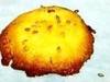 Small_cheese_cookie