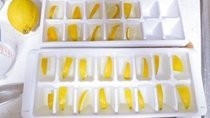 Diy Lemon Garbage Disposal Cleaners