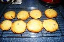 Welsh Cakes/Skinny Scones