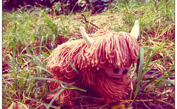 Highland Cow Sock Animal