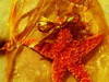 Small_img_5463