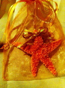 Shell Ornaments