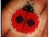 Small_img_20121019_232119