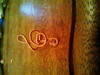 Small_photo0308