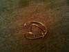 Small_photo0315