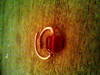 Small_photo0313
