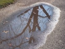 Reflection