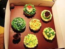 Cupcake Decorating