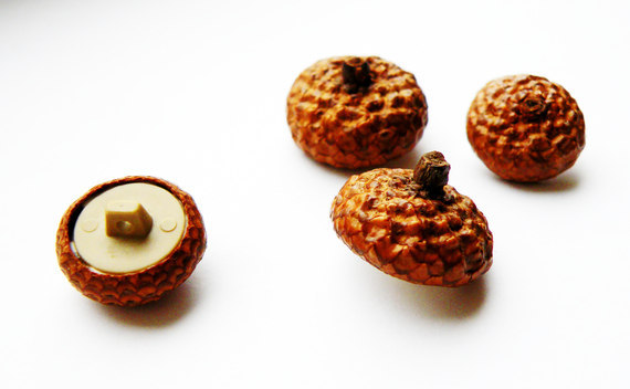 Acorn Buttons