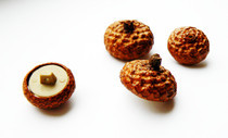 Acorn Buttons