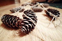 Christmas Garland From Cones