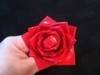 Small_rosepen4