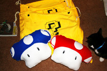 Mario Christmas Items