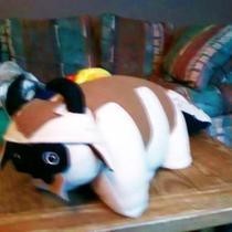 Appa Pillow Pet