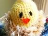 Small_dscn3322