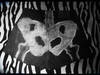 Small_skeleton_shorts