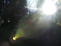 Sunbursts