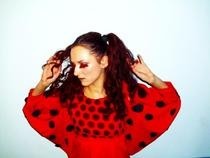 Ladybug Costume 