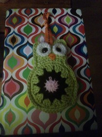 Owl Key Cozy
